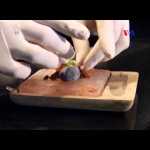 La Gastronomía Molecular