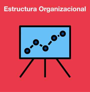 La estructura organizacional de tu restaurante